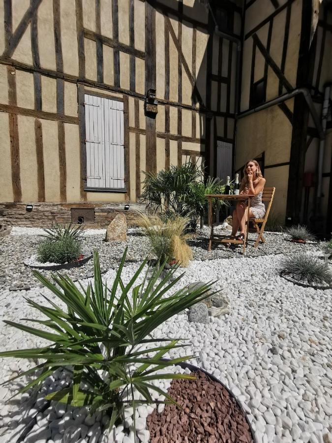 Les Cieux De La Cathedrale - Calme - Jardin - Wifi Leilighet Troyes Eksteriør bilde